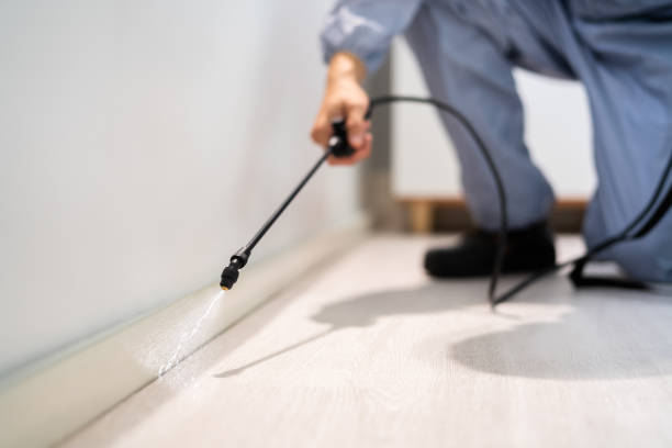 Licensed Fumigation Services service in Greater Bridgeport Planning Region County, CT - Nex Pest Control